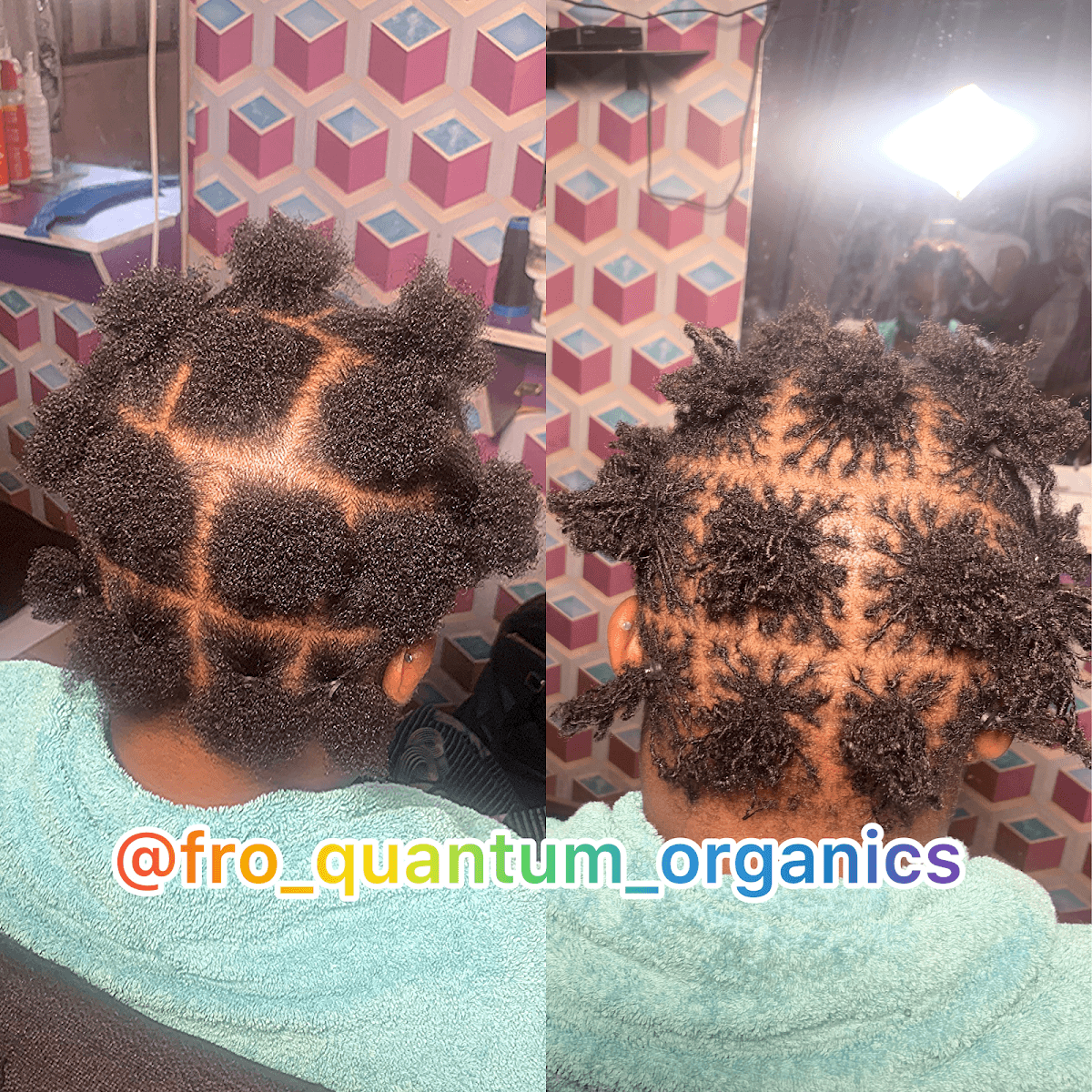 Fro Quantum Organics Hub gallery 2